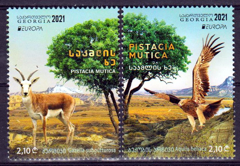 Europa 2021, Adler, Gazelle