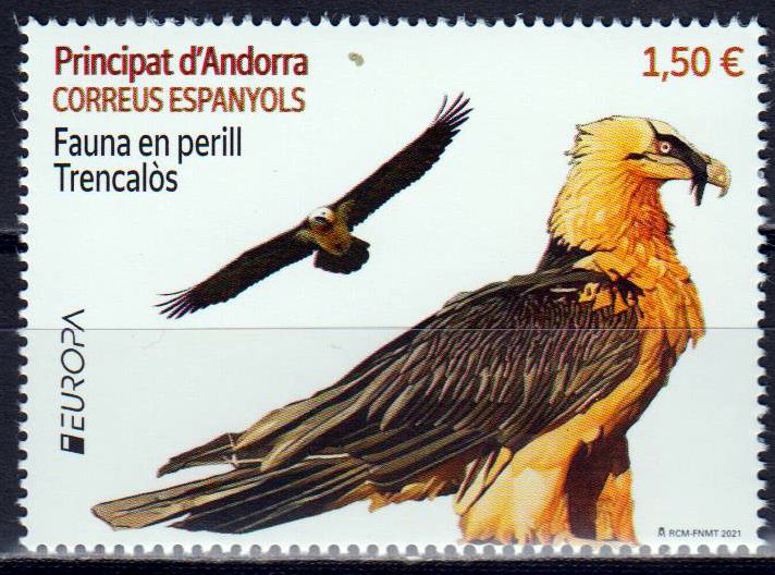 Europa 202, Raubvogel