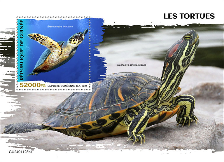 Block: Schildkröten 2024 I