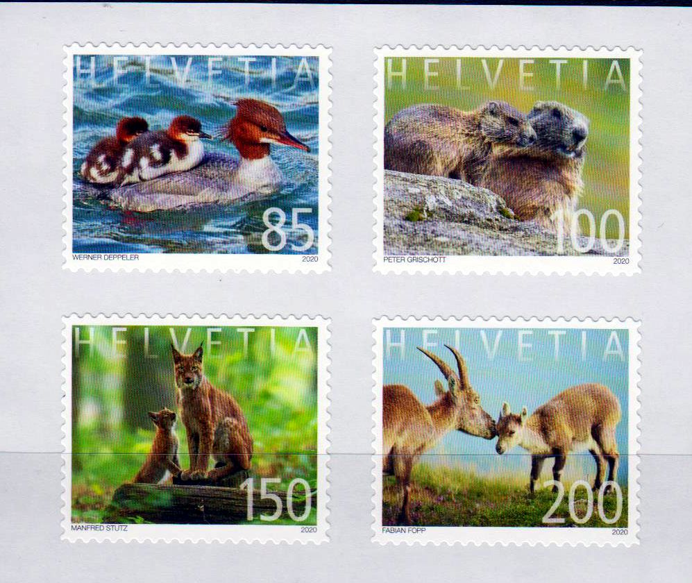 Tiere 2020, Luchs, Ente, sk