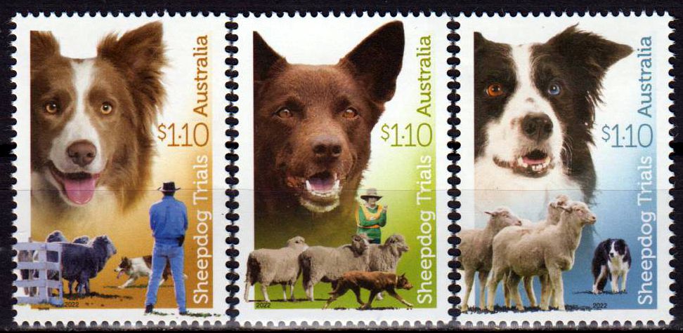 100 Jahre Schäferhund-Prüfungen 2022