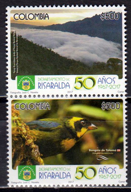 Risaralda Departamento 2017, Vogel