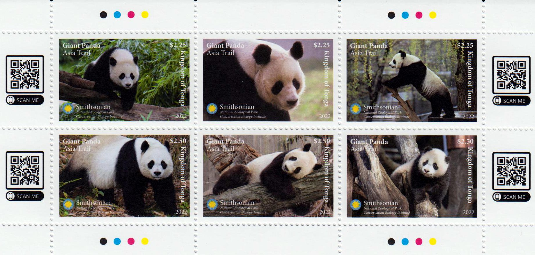 Zdr. Pandas 2022