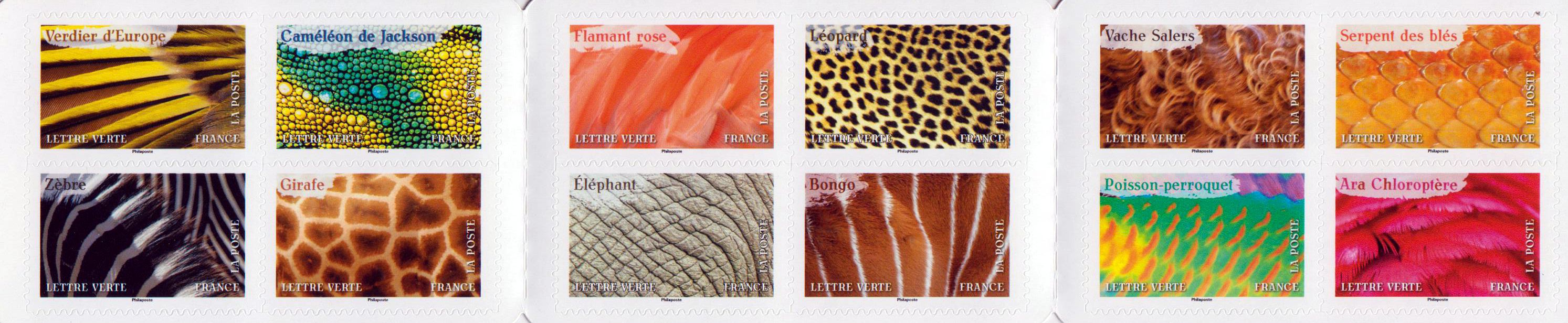 Bunte Tiere 2024, sk, a.MH