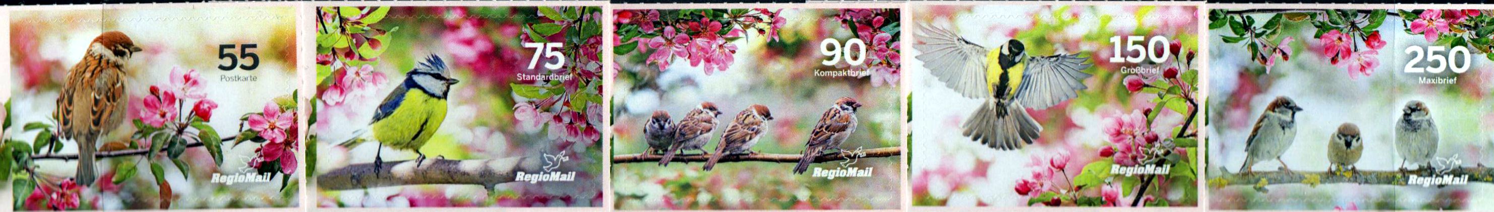 Vogelgezwitscher 2021