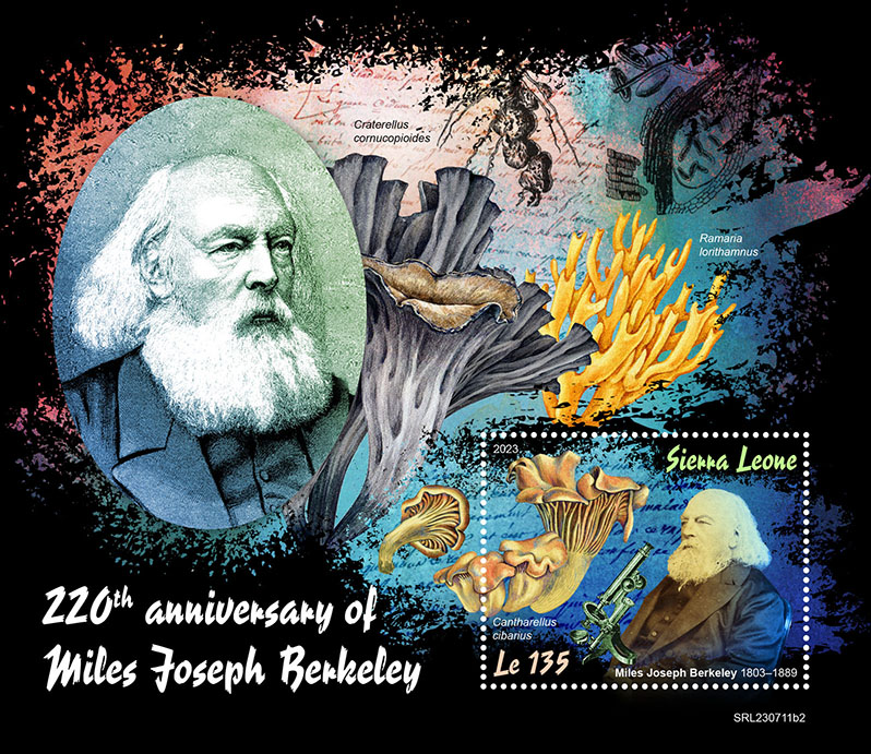Block: M. J. Berkeley 2023 II