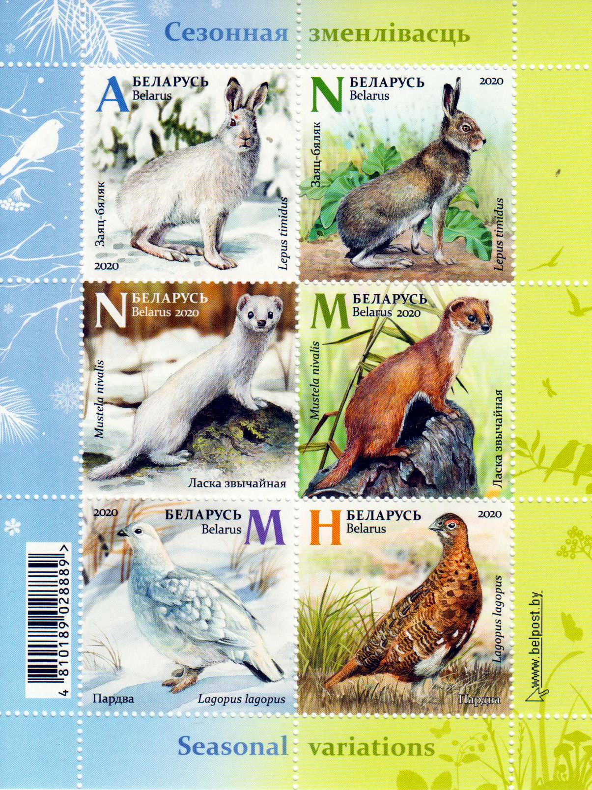 Block: Tiere 2020, Wiesel, Hase, Schneehuhn