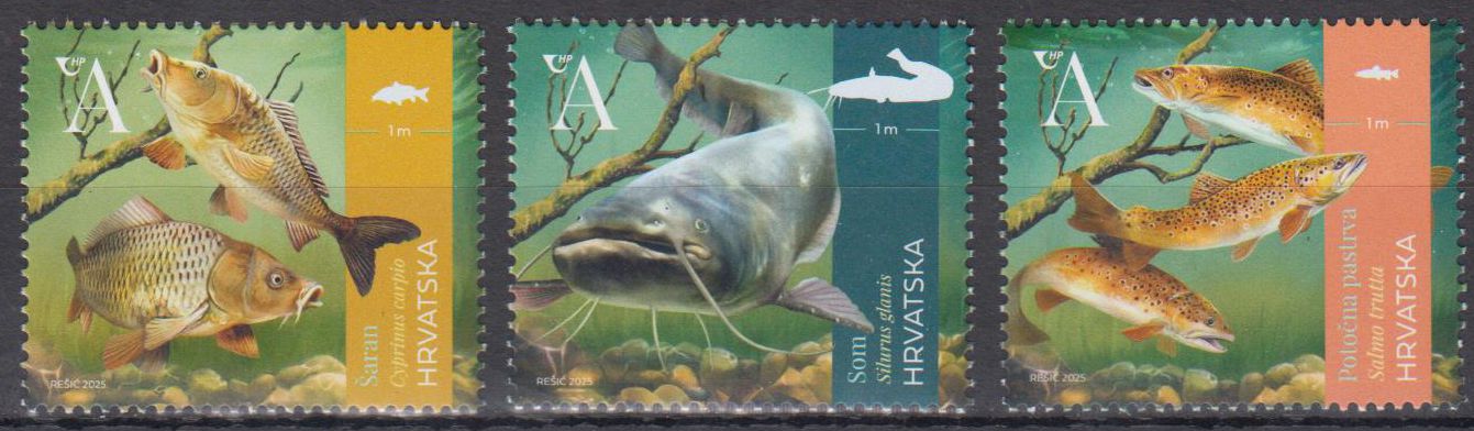 Süßwasserfische 2025