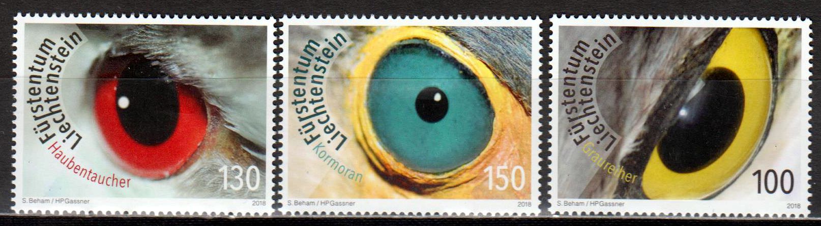 Künstlerische Fotografie, Vogelaugen