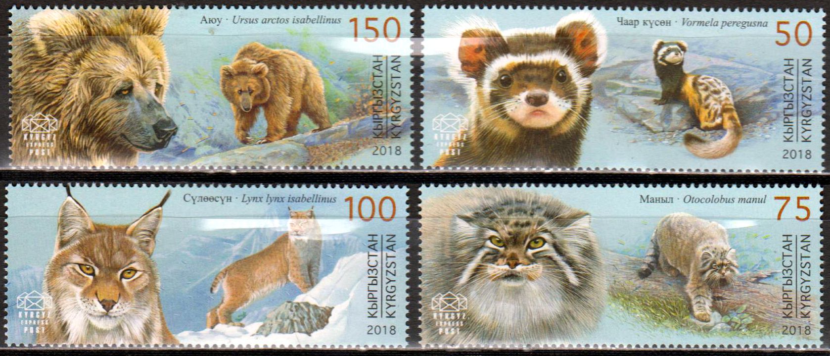 Rotes Buch 2018, Luchs, Bär, Iltis, Manul