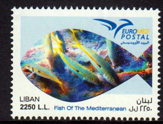 Euromed 2016, Fische