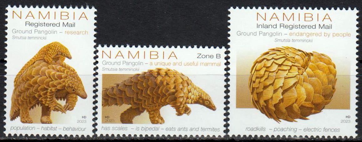 Schuppentiere in Namibia 2023