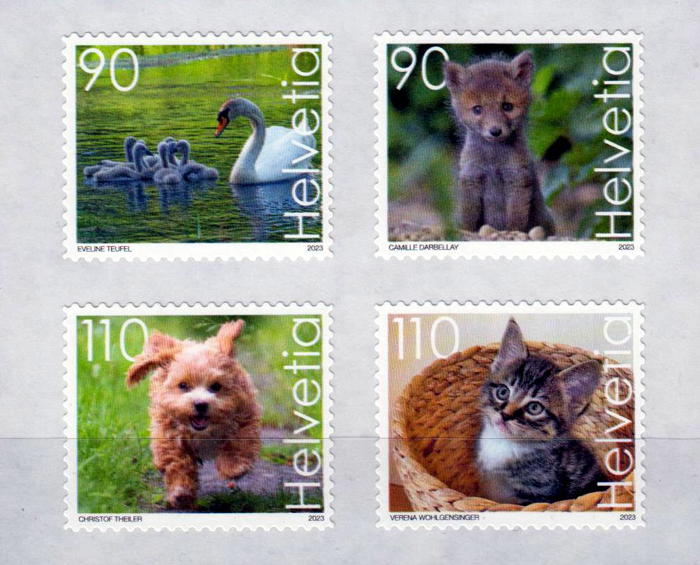 Süsse Tiere 2023, Hund, Katze, Schwan, sk