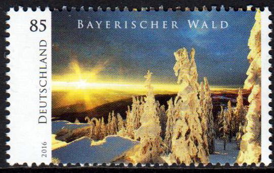 Bayer. Wald, Nachdruck 2017, aus neuen Rollen mit rückseit. Nr. im 4er-Rhythmus