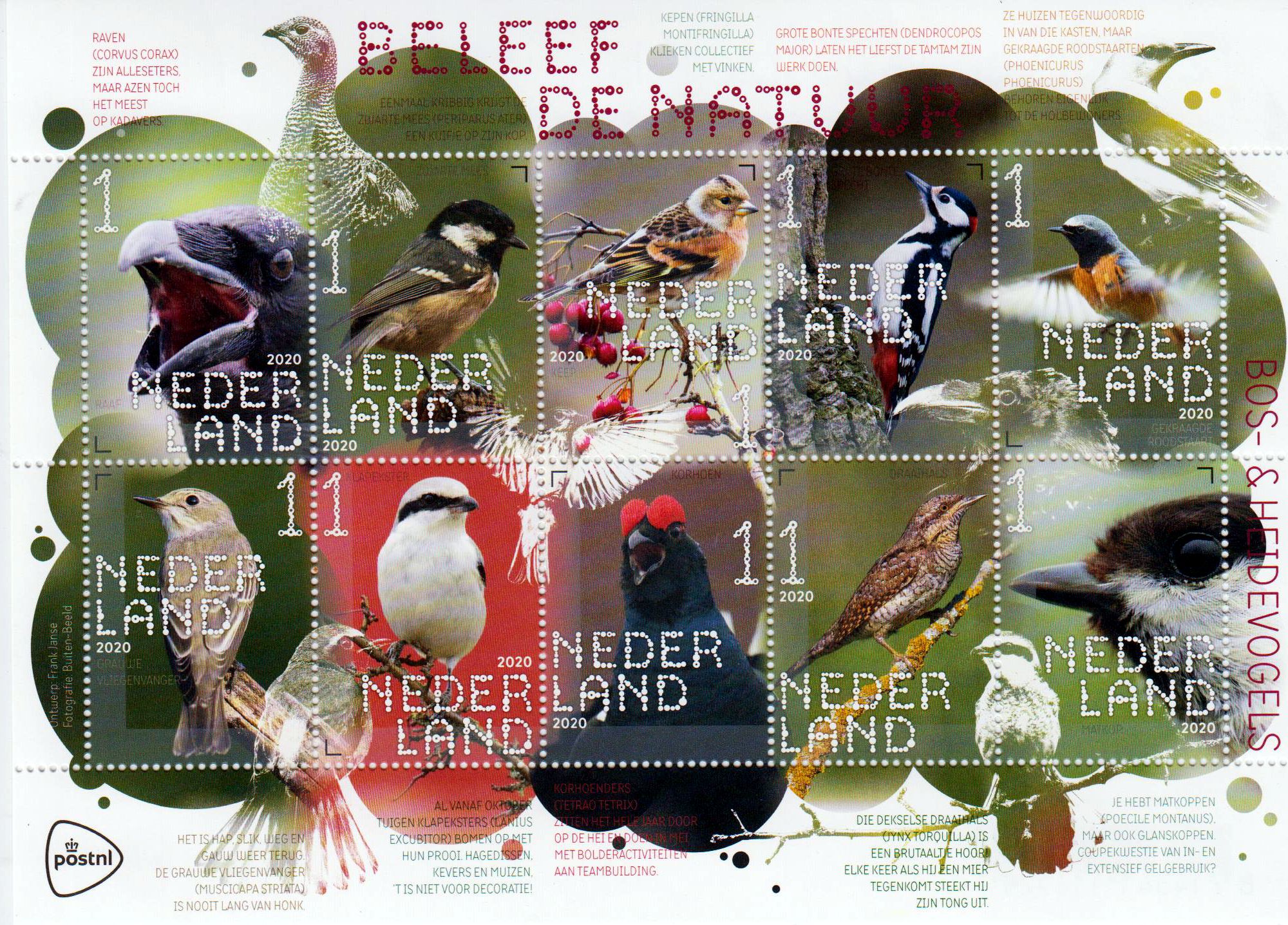 Wald- und Heidevögel 2020, sk