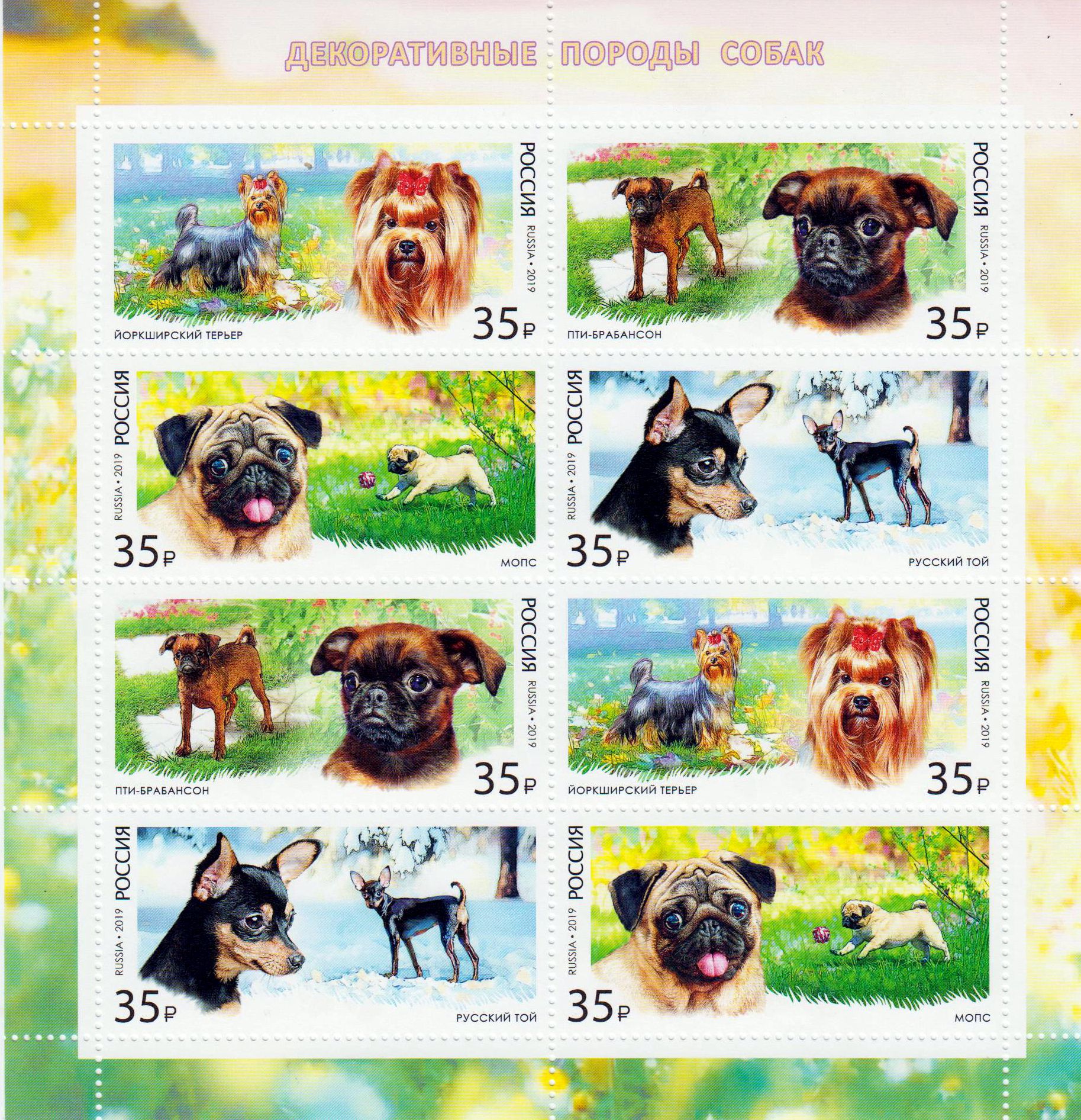 Hunde 2019