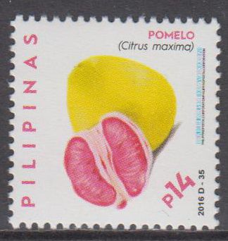 Dauer: Früchte 2016, Pomelo, 14p