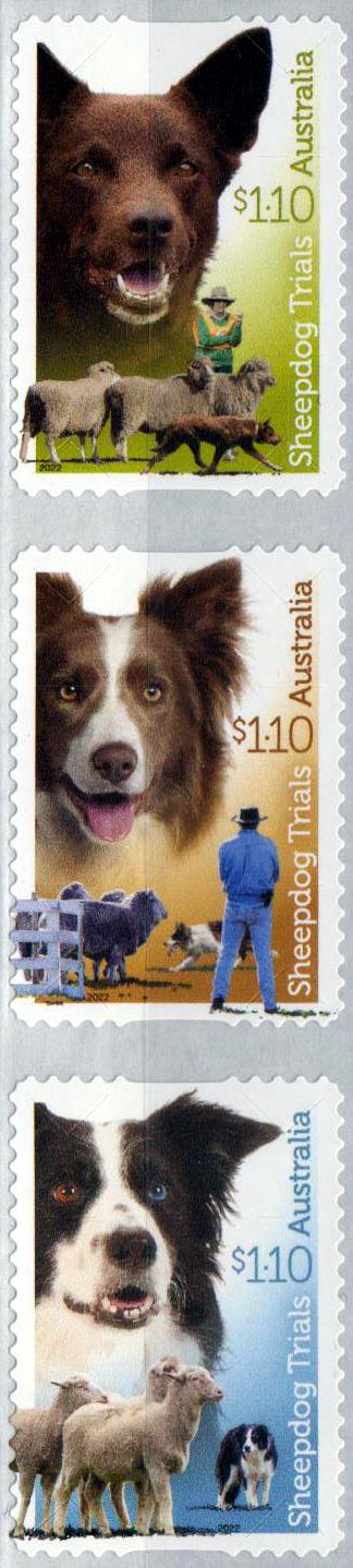 100 Jahre Schäferhund-Prüfungen 2022, sk