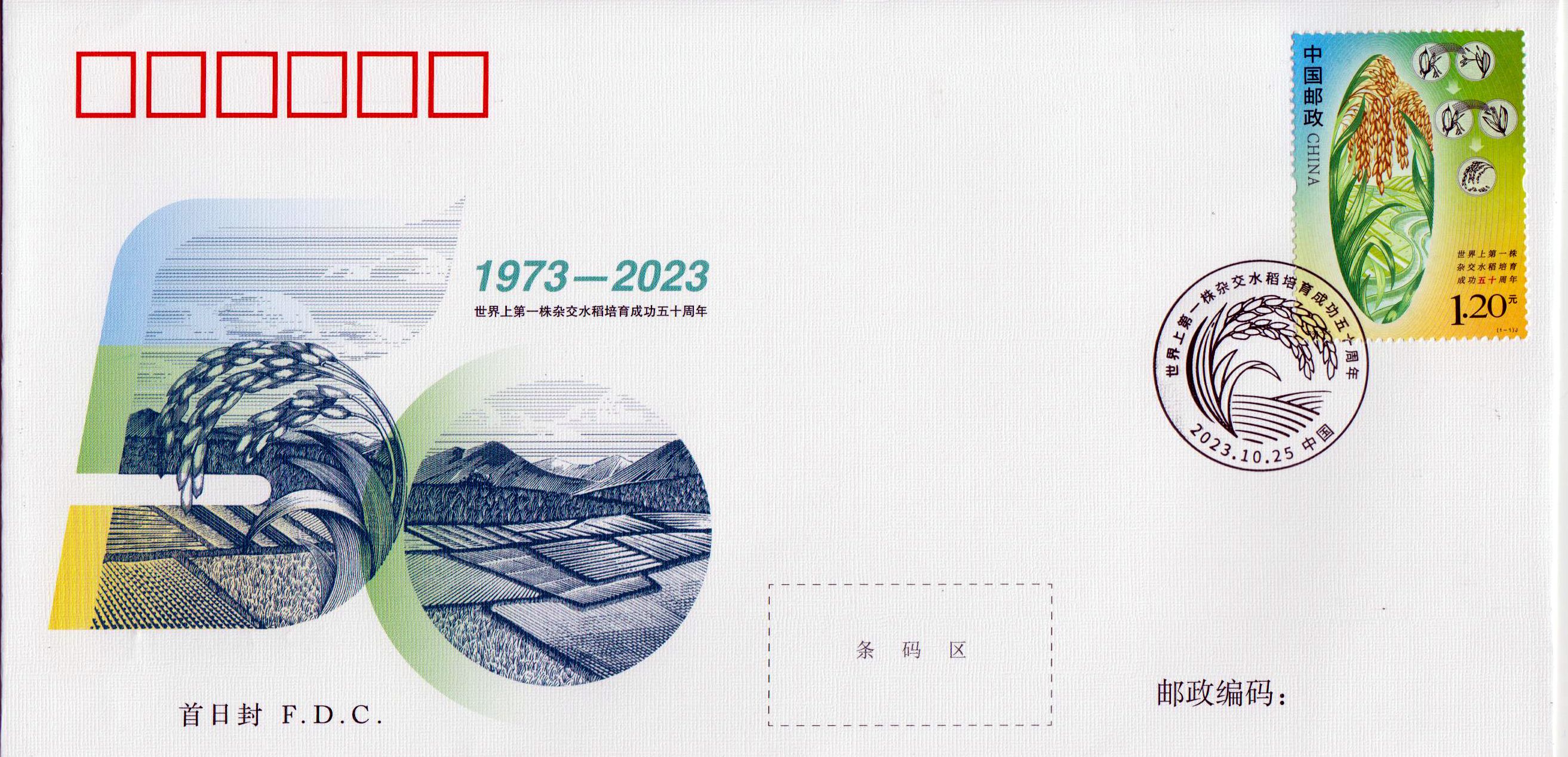 (2023-22) Erste Ernte Hochertrags - Hybridreis