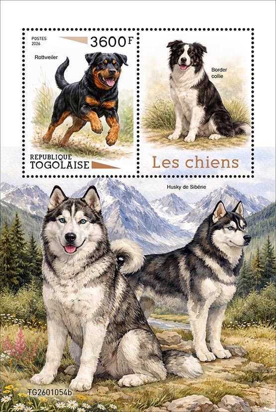 Block: Hunde 2026