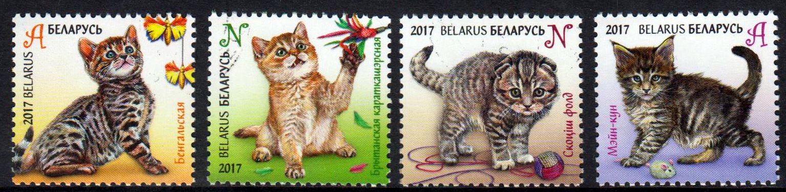 Katzenkinder 2017