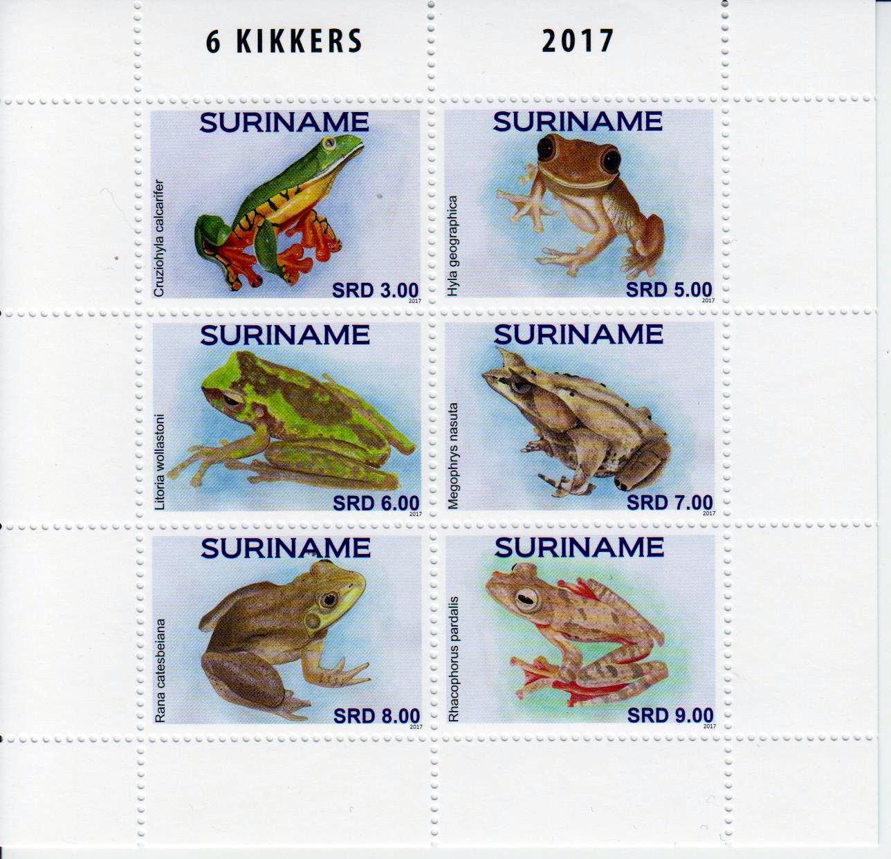 Zdr. Frösche 2017