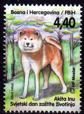 Welttierschutztag 2022, Akita Inu