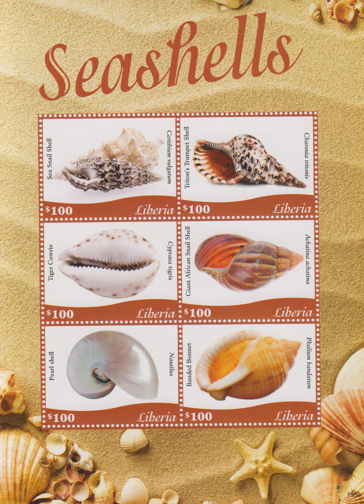 Muscheln 2015