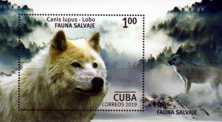 Block: Wildtiere 2019, Wolf