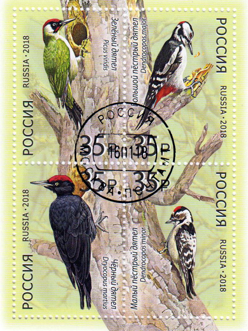 Block: Spechte 2018, gestempelt