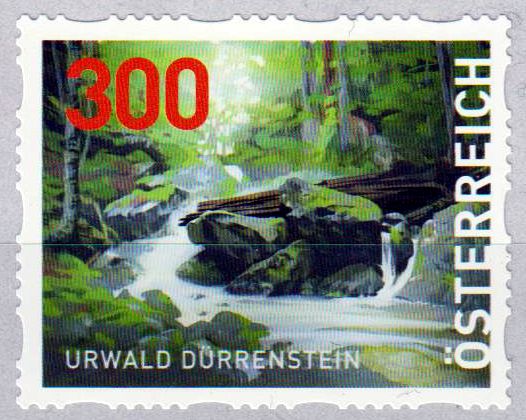 Urwald Dürrenstein 2023, sk, von Rolle