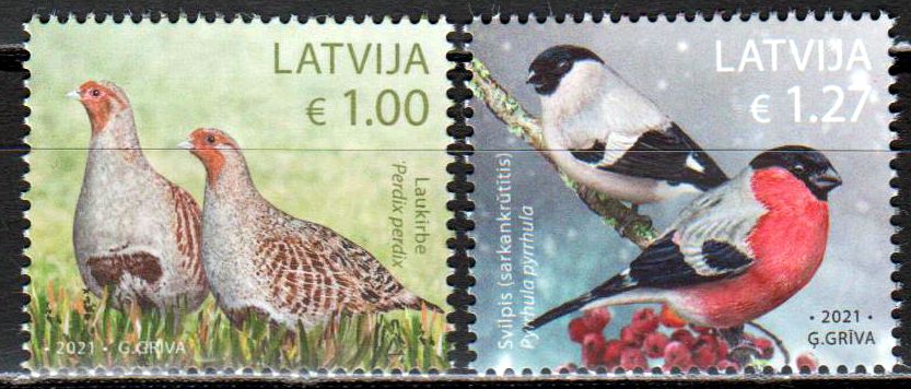 Vögel 2021, Gimpel, Rebhuhn