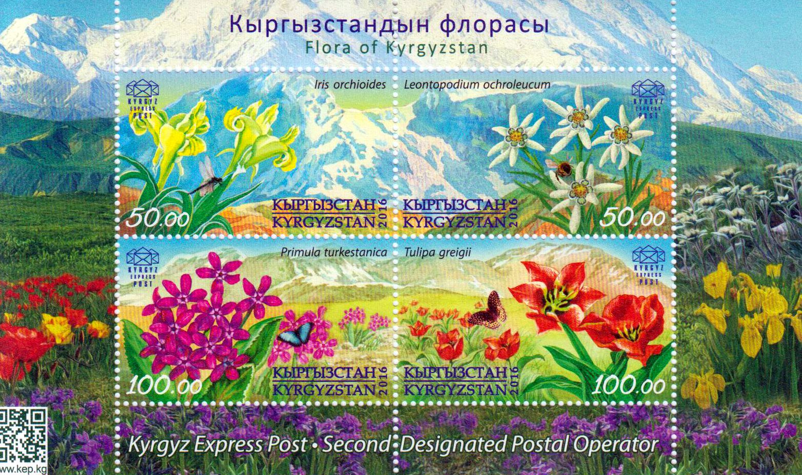 Block: Flora in Kirgistan, Blumen