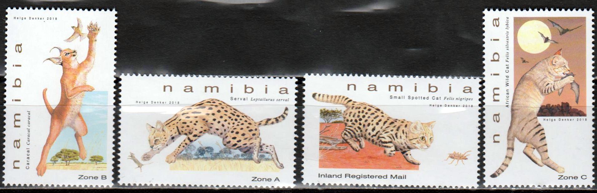 Klein Katzen von Namibia 2018