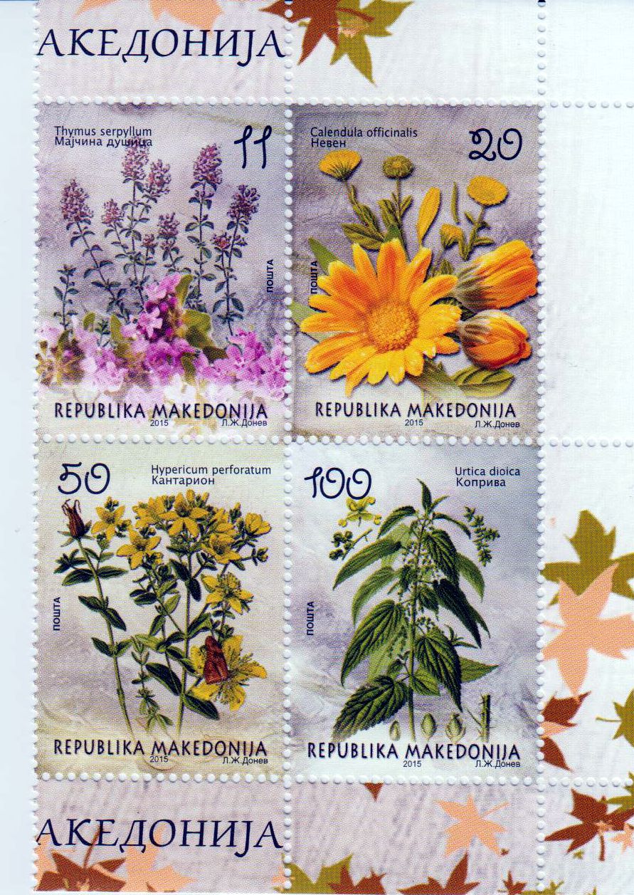 Einheimische Flora 2015