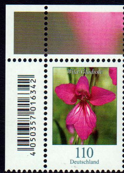 Dauer: Wild-Gladiole 2019, als Eckrand- stück mit Code