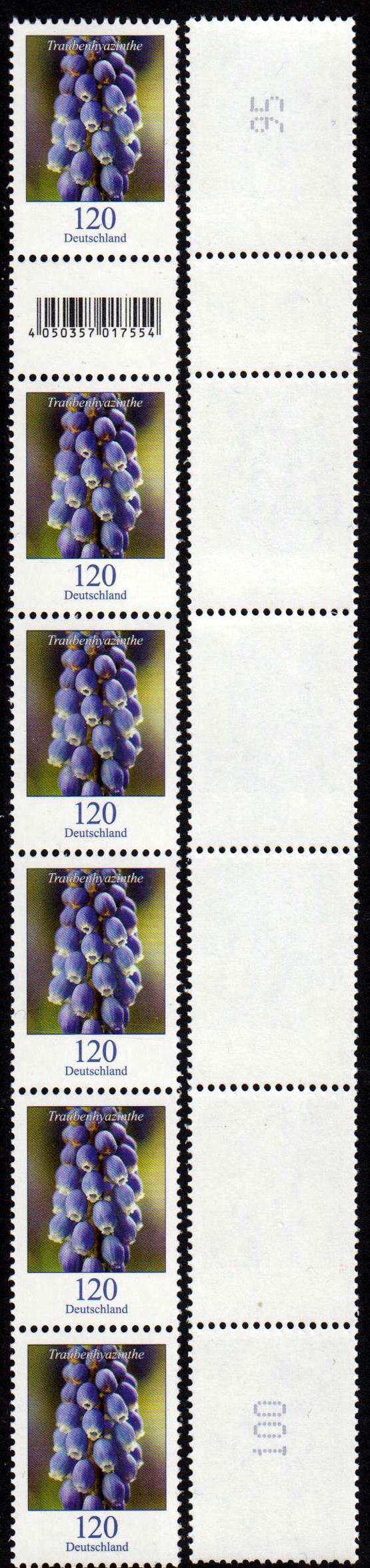 Dauer Traubenhyazinthe 2019 6er Streifen Rollenanfang EAN Code 017554