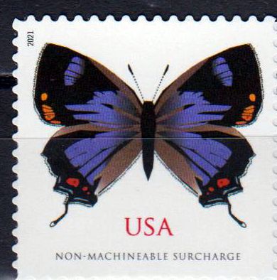 Schmetterling 2021, sk