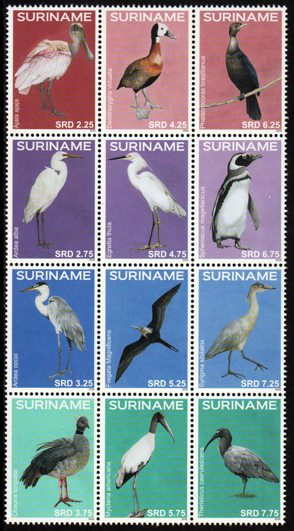 Vögel 2016 (16F02)