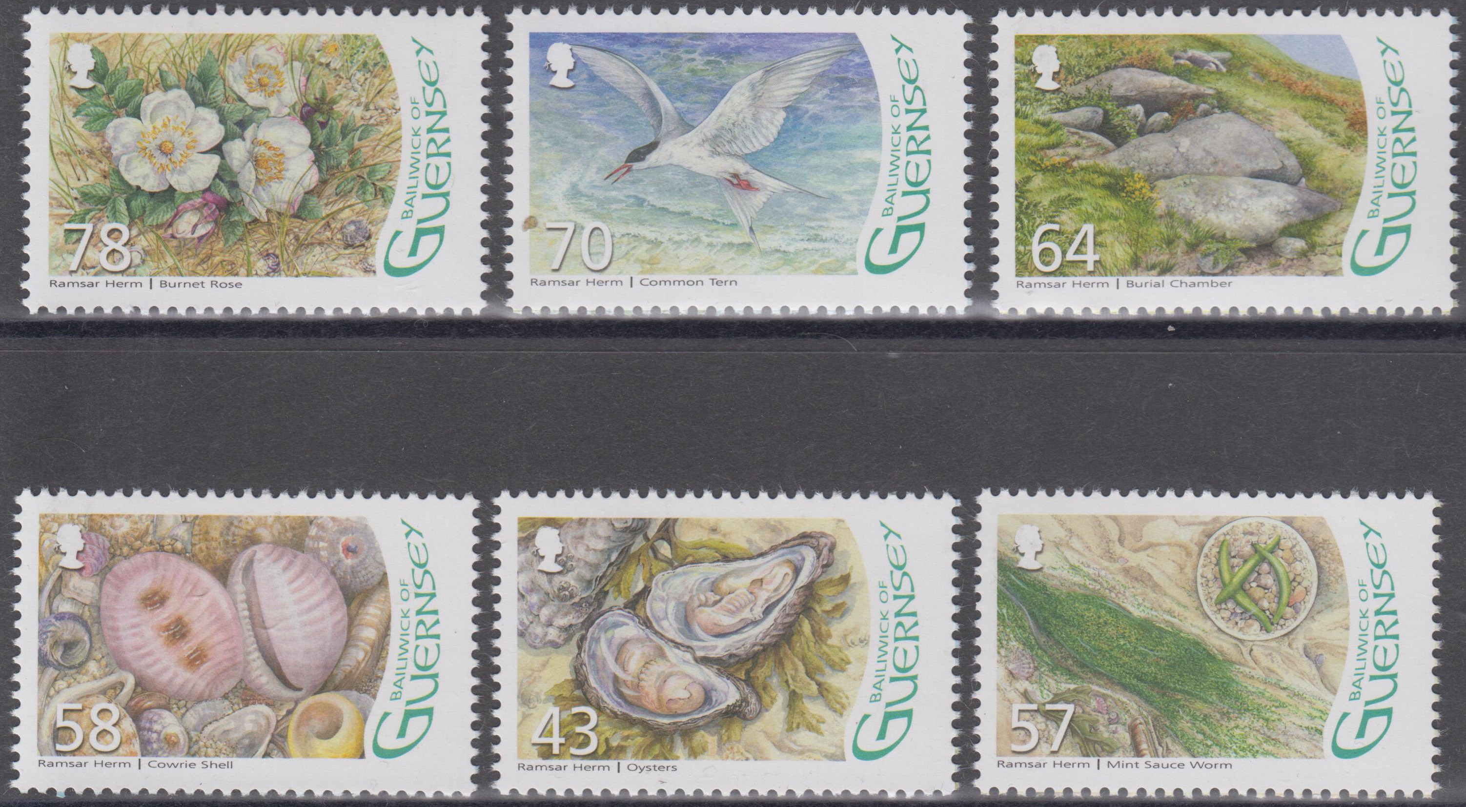 Flora und Fauna, Muscheln, Vogel