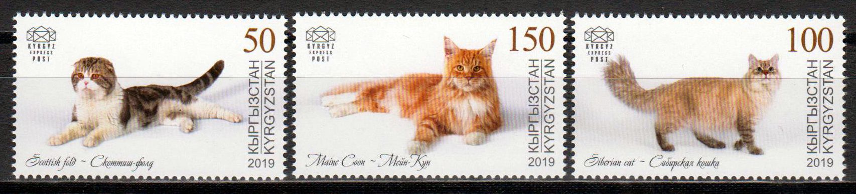 Hauskatzen 2019