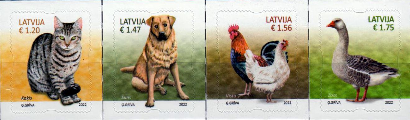 Haustiere 2022, Hund, Katze, Huhn, Gans, sk