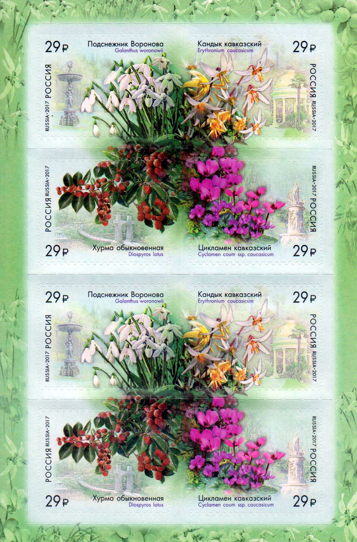 Arboretum Sochi, Blumen