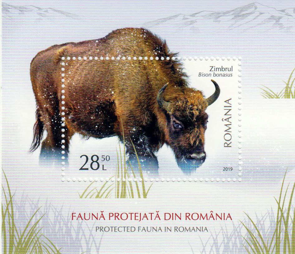 Block: Geschützte Tiere, Bison