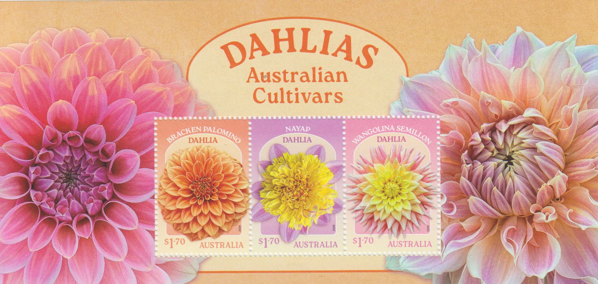 Block: Dahlien 2026