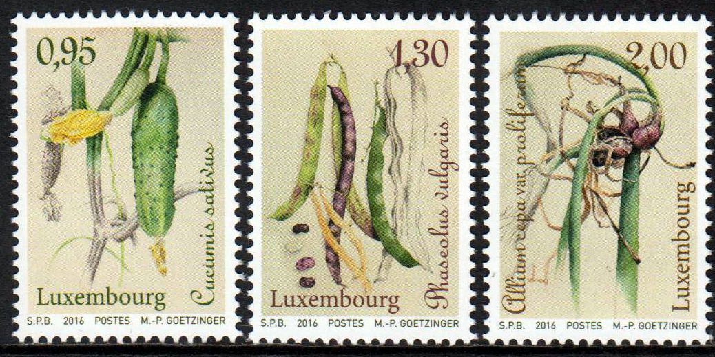 Alte Gemüsesorten III