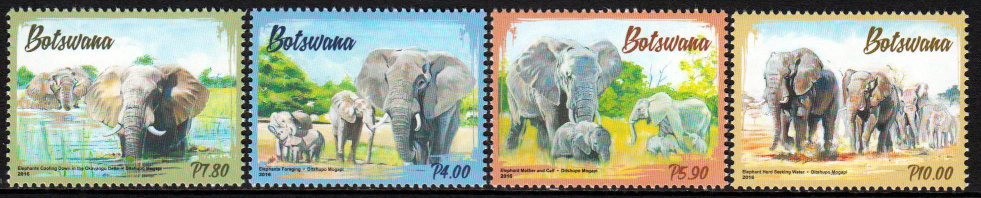 Elefanten 2016