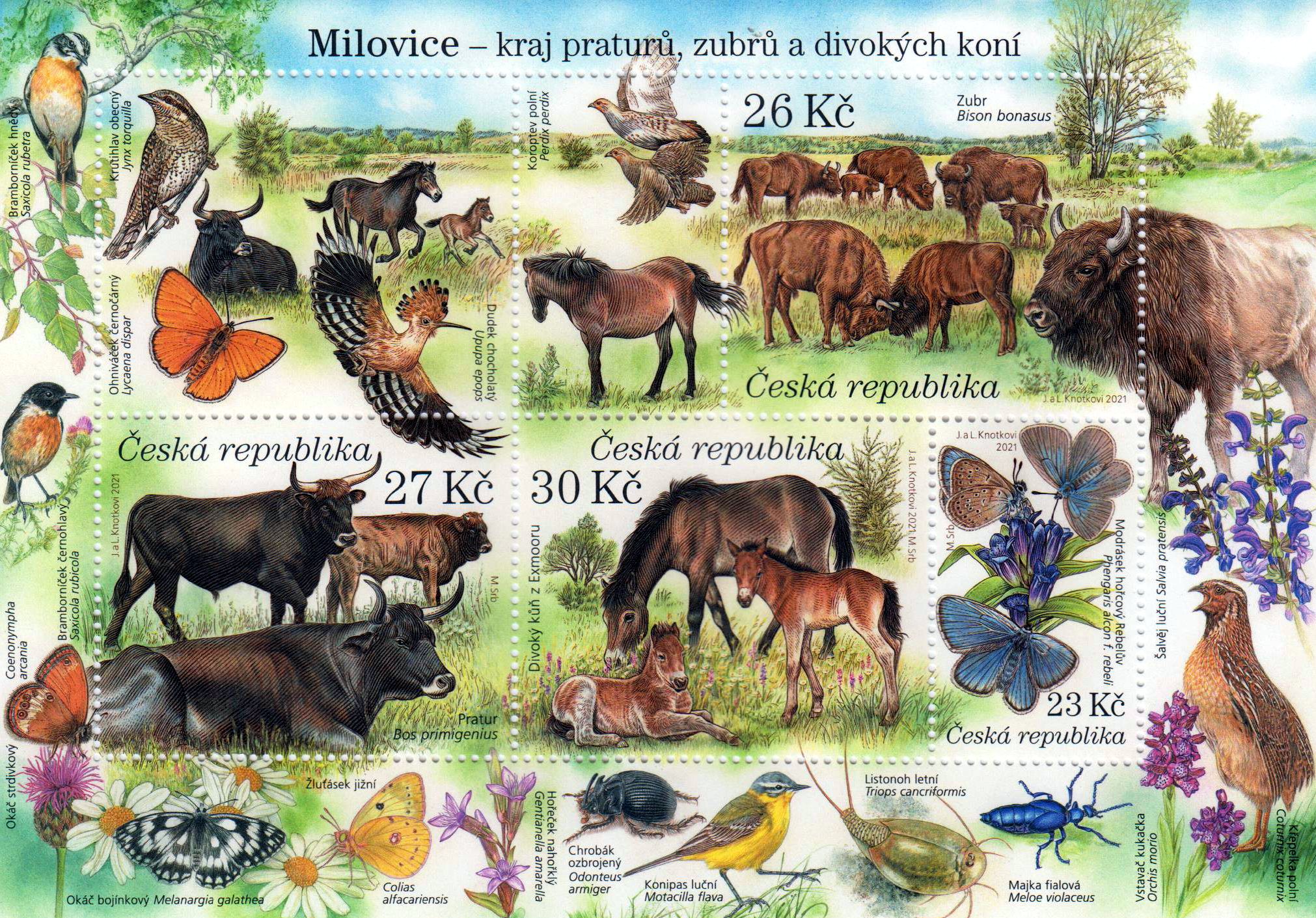 Block: Naturschutz 2021, Pferde, Rinder