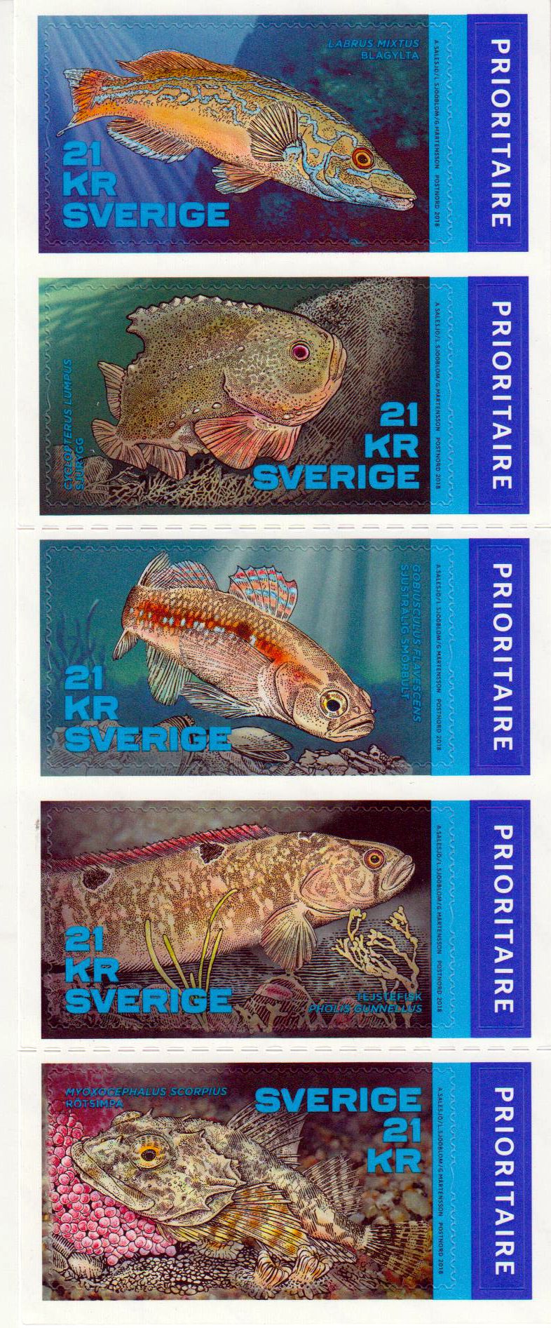 MH: Fische des Nordens, sk,