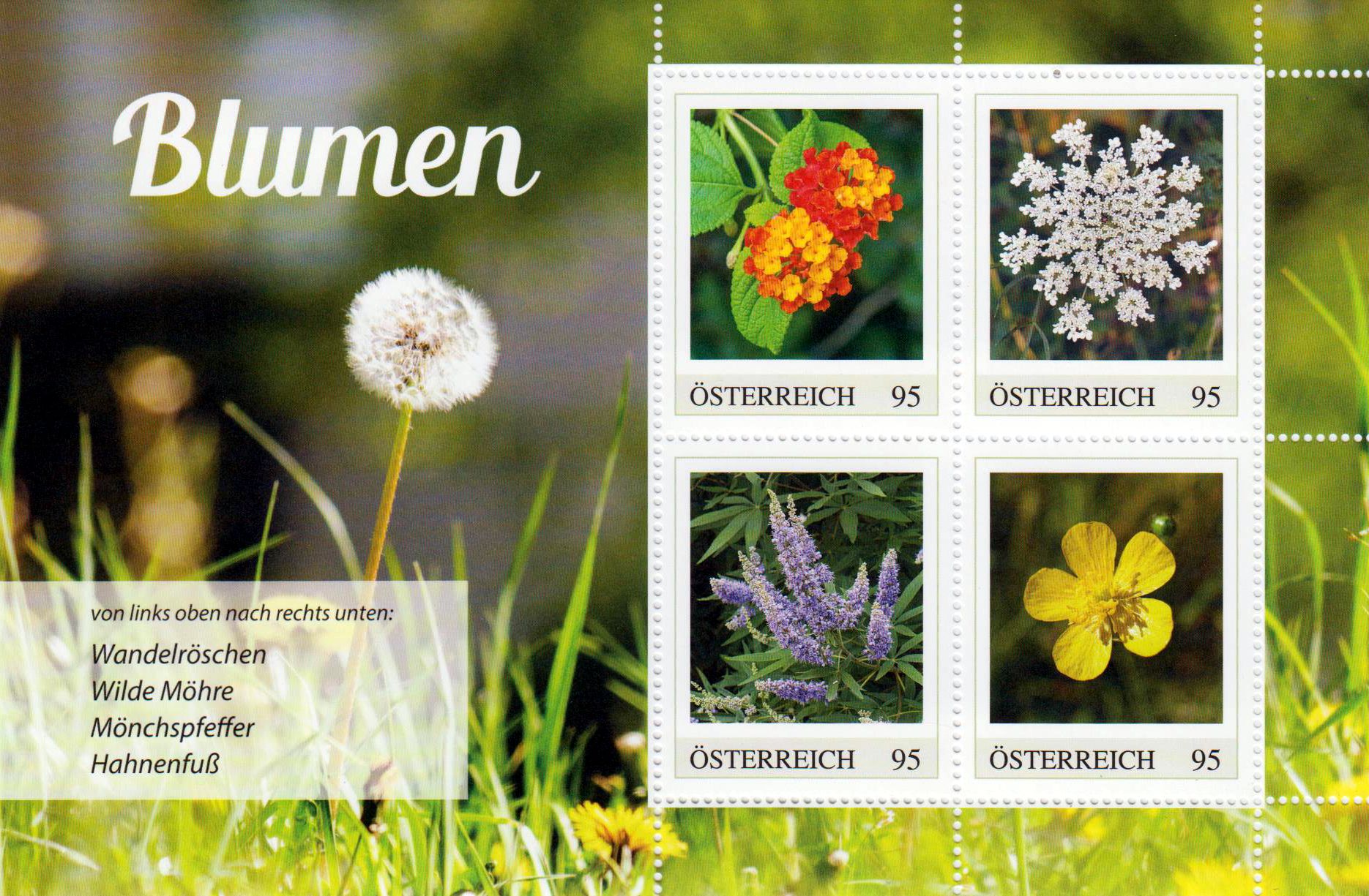 Block: Blumen 2024, Wandelröschen, Markenedition 4